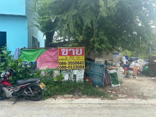 �ҧ�л� �� zionasset1