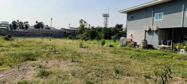 ที่ดิน 4 ไร่ ที่ดิน 4 ไร่