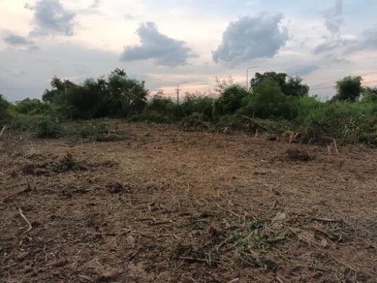 �����к��� �� Estate Corner