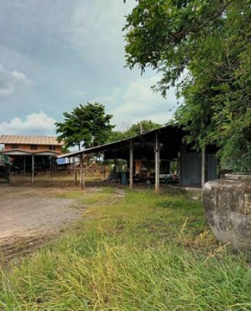 �����к��� �� Estate Corner