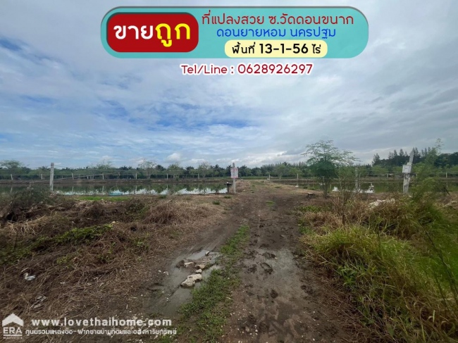 ��¹�û�� �� lovethaihome101