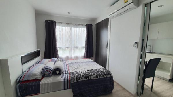 ���ͧ �� Asset X Property