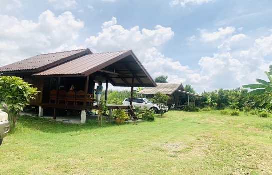 ���١�� �� Asset X Property