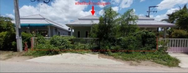 ����Թ �� panaya.opalopal