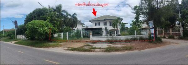 ����Թ �� panaya.opalopal