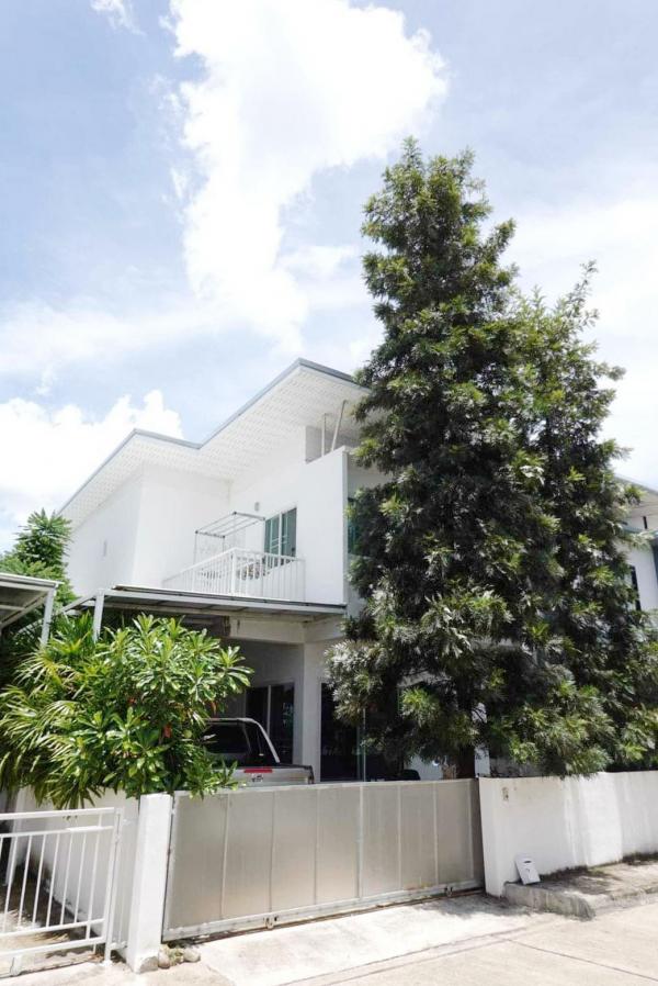 ��ҹ�ҧ�� �� Ashaproperty