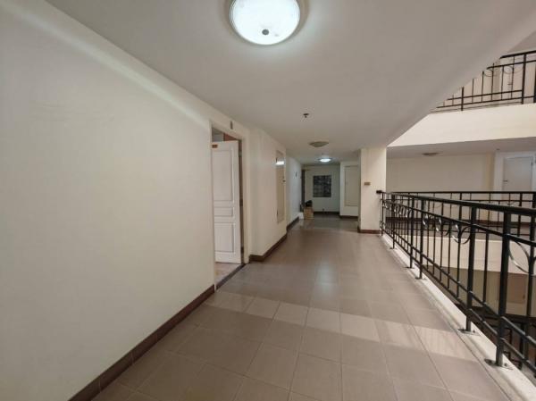 ��¤͹� ���Ե