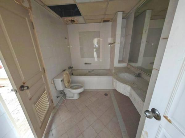 ��¤͹� ���Ե