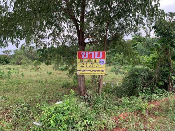 ������ �� zionasset1