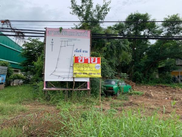 ������ �� zionasset1