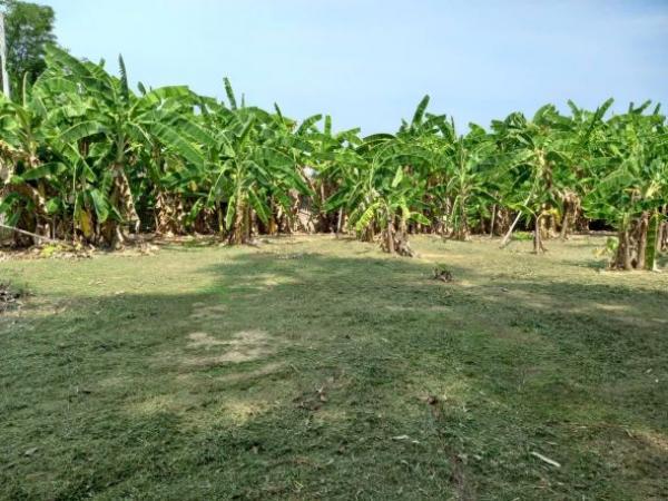 ���ͧ �� Sawasdee