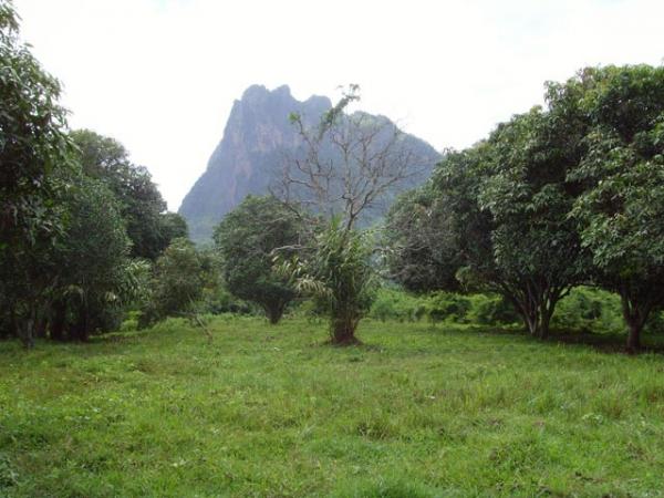 ���Թ ���