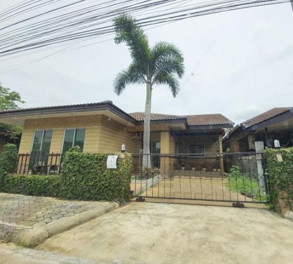 �Ң�ѭ �Ź�����