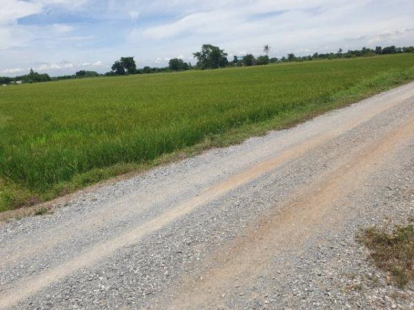 ขายที่ดิน สุพรรณบุรี 150,000-300,000 บาท