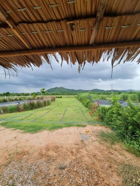 �ҡ �� Noname2023