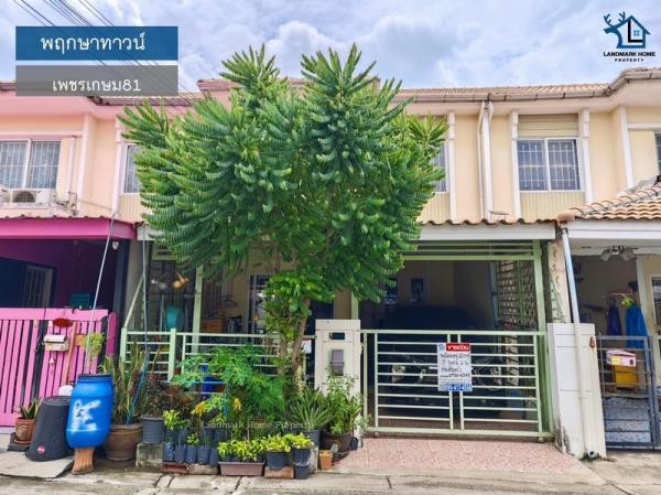 ��ǹ���� bigc