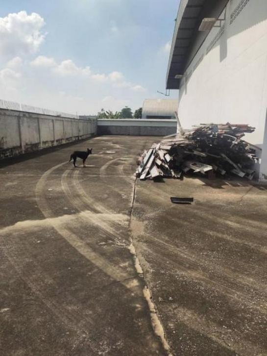 ����ç�ҹ ��ͧ��ǧ�����ҹ�