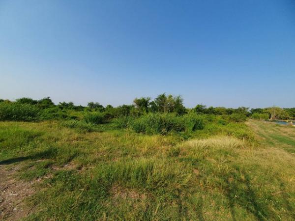 ��¹�û�� �� amaraphat78