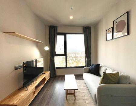 �Ҵ����� �� incube