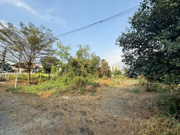 ������� �� amaraphat78