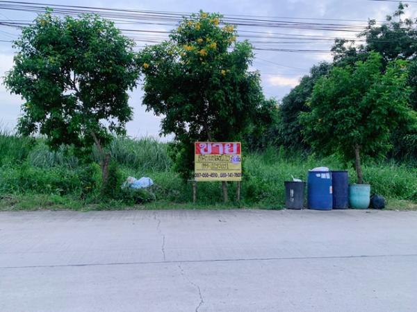 �չ���� �� zionasset1