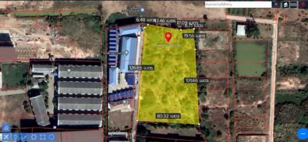 �����ä�� �� zionasset1