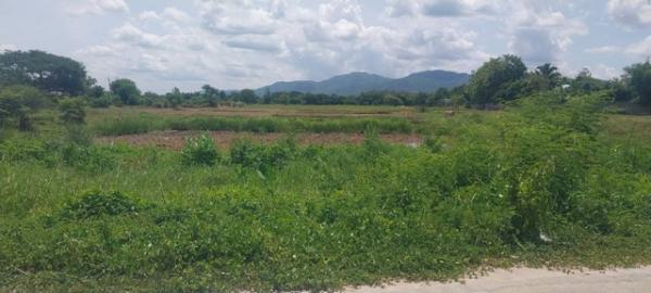 ����ӻҧ �� zionasset1