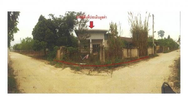 ��§��� �� compos2566