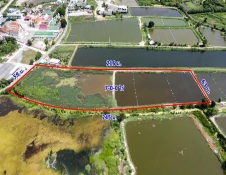 ��ªź��� �� incube