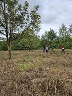 ��·��Թ �Ҥһ�С�Ȣ�� 800,000 �ҷ