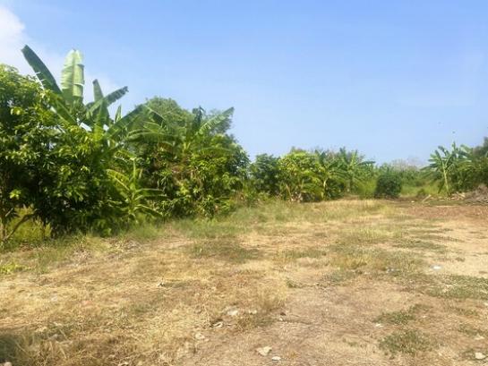 �ѭ���� �� Estate Corner