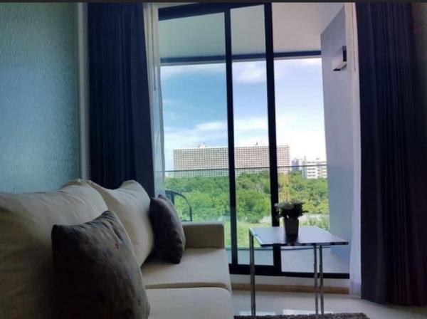 �ź��� �� Jyn Property