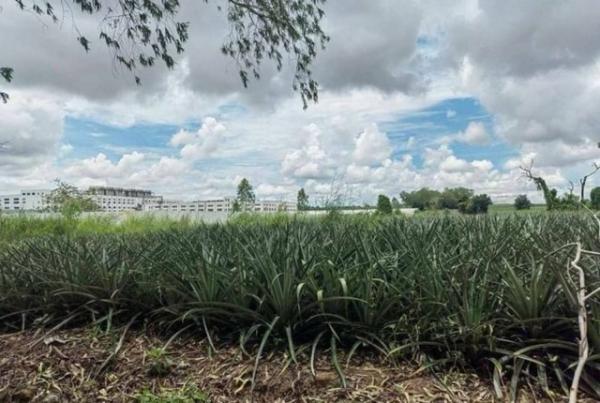 ��ǡᴧ �� ahousepost9