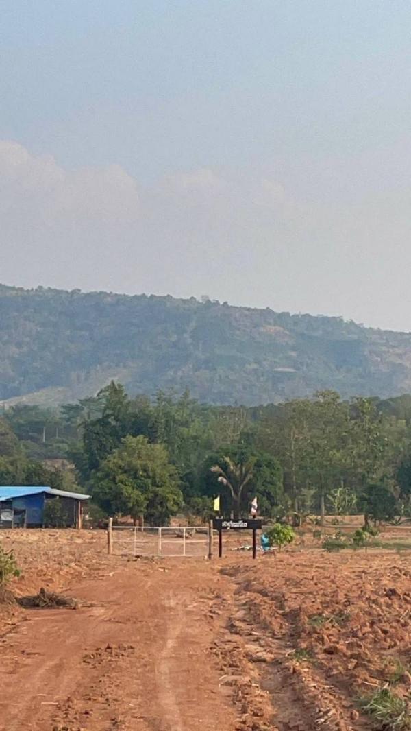 ���Թ ���