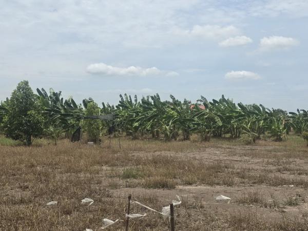 ���Թ ���ǹ �����