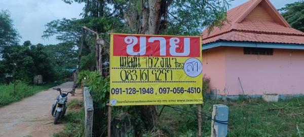 �͹�� �� zionasset1