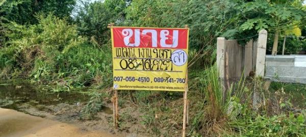 �͹�� �� zionasset1