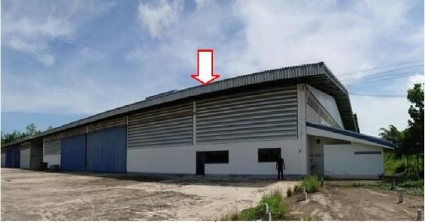 ����ç�ҹ ��§�ҹ���