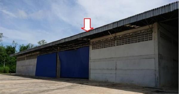 ����ç�ҹ ��§�ҹ���