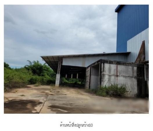 ����ç�ҹ ��§�ҹ���