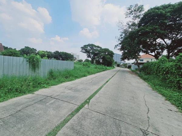 �ҧ� �� amaraphat78