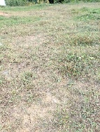 ��·��Թ �Ҥһ�С�Ȣ�� 950,000 �ҷ