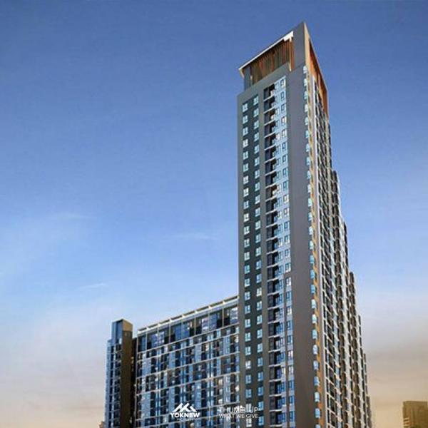 ���¢�ҧ �� Yoknew Property