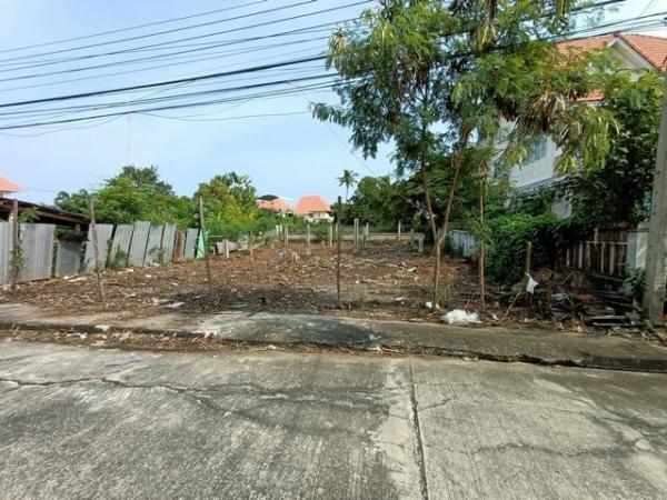 ������� �� sopa