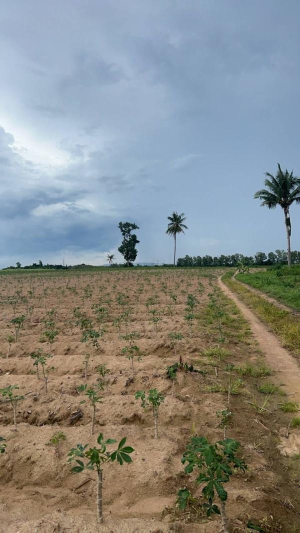 ˹ͧ�˭� �� goodlada24