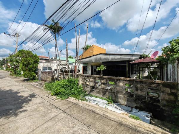 �ҧࢹ �� Nititut