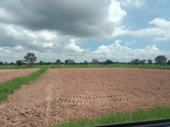 ��¹���Ҫ���� �� Estate Corner