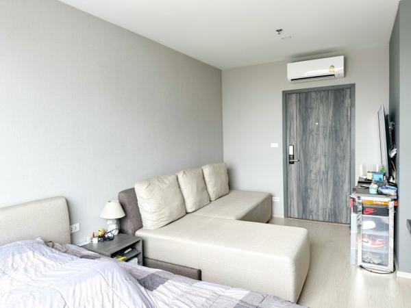 �͹���ͧ������ 26 ���ҧ����