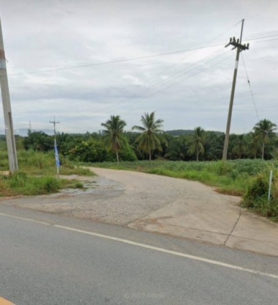 ���Թ�����ɯ��Ѳ��&nbsp; �ź���