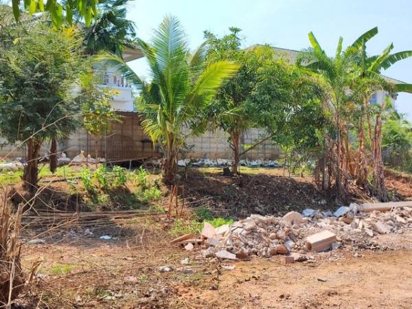 ��¢͹�� �� Noname2023